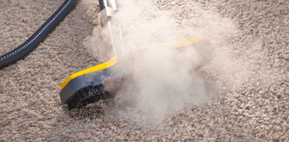 carpet steam clean